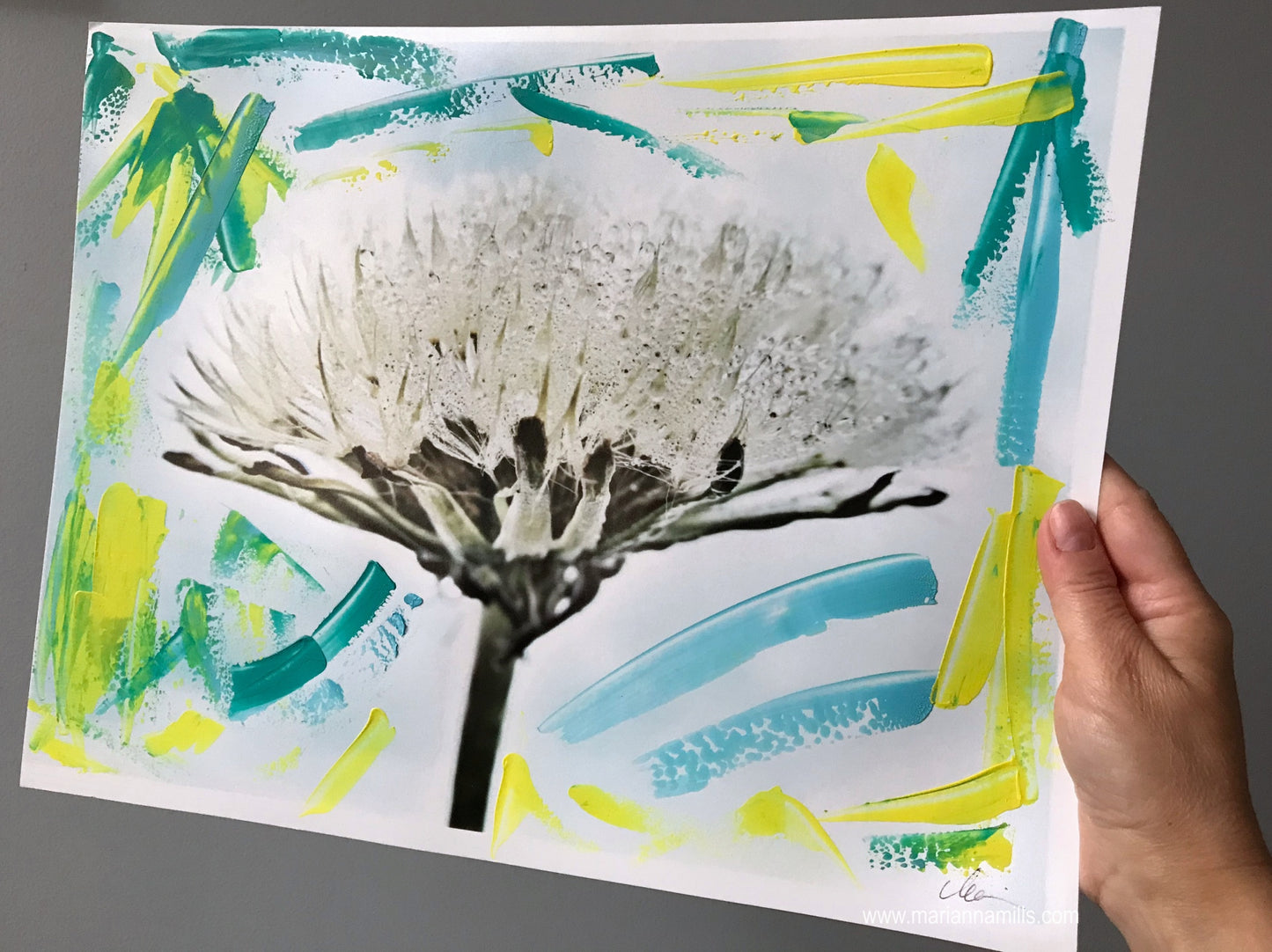 overpainted photograph of a dandelion with raindrops by Marianna Mills holding the painting