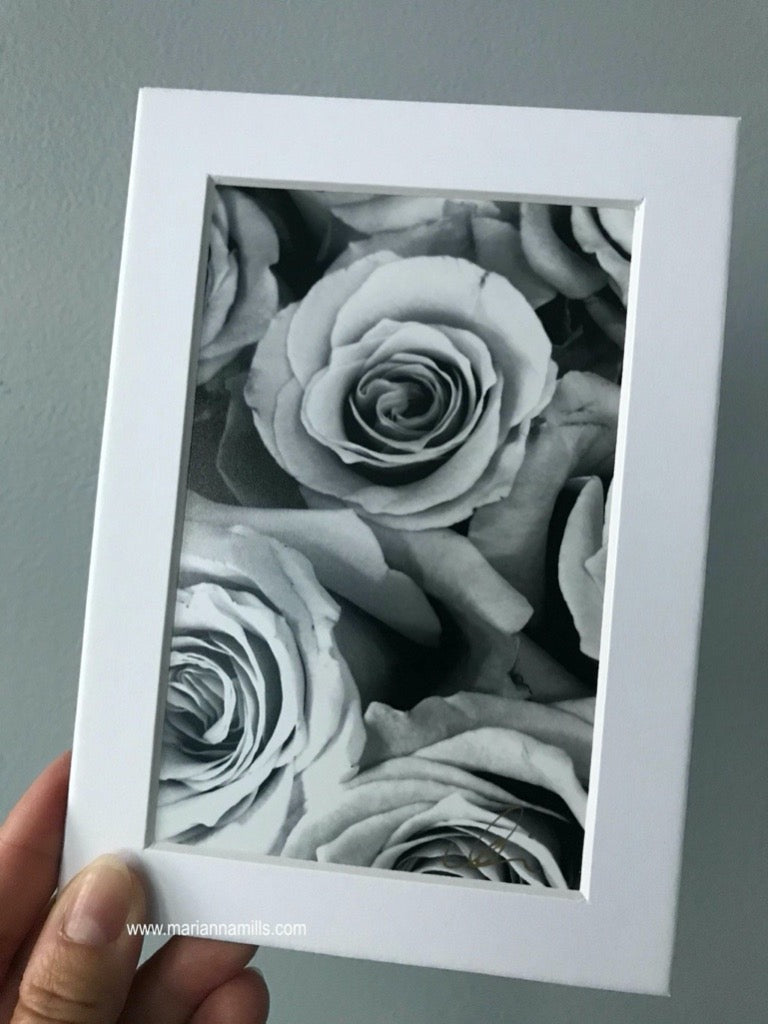 My fine art photograph of the Black and White Roses is now available as a small matted signed print. 